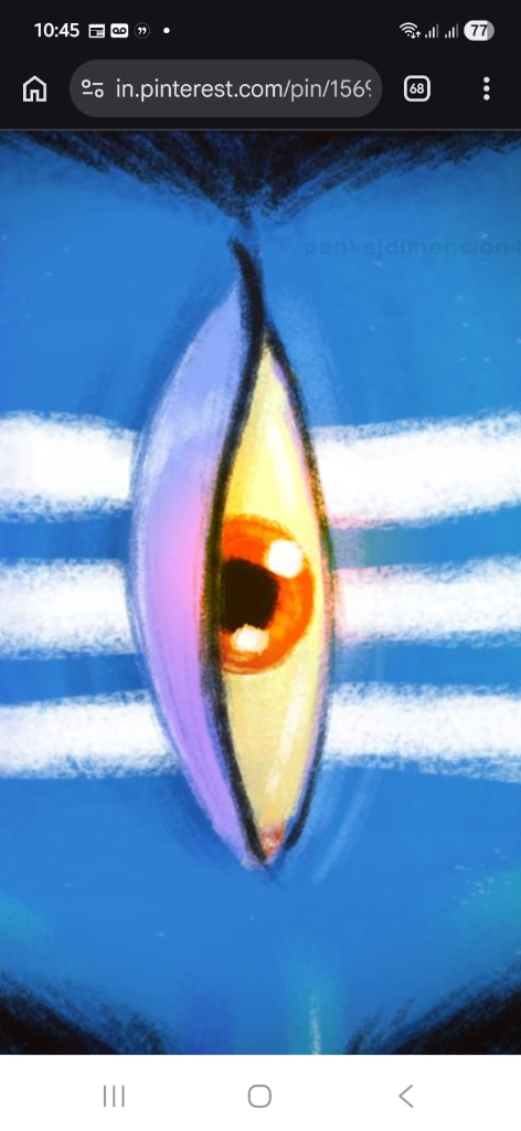 orange iris